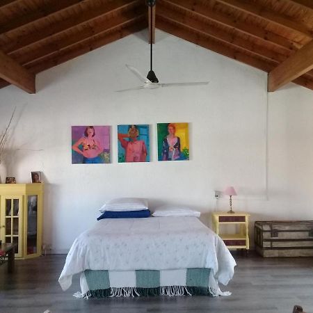 La Casa De Los Murales 阿韦利亚内达 外观 照片